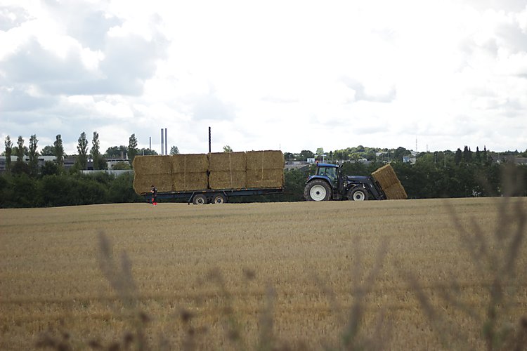 -1147_BibballerTraktor