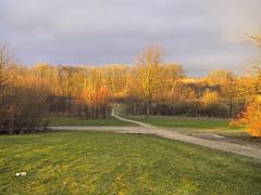[Foto]