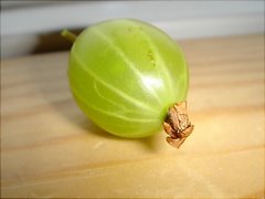 [Foto]