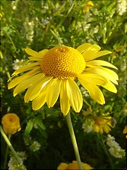 [Foto]