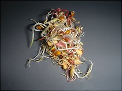 [Foto]