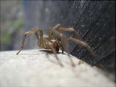 [Foto]