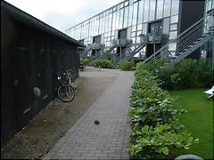 [Foto]