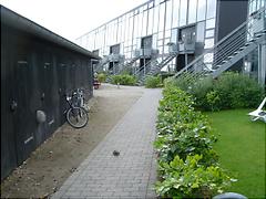 [Foto]